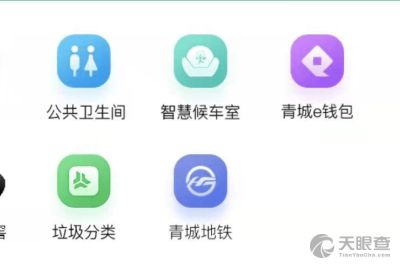 内蒙古天迅网络科技发展有限责任公司 网络技术开发的区域先锋与创新实践